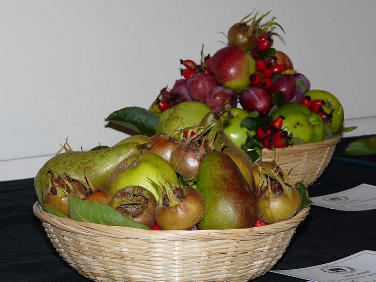Two baskets of British fruit picked and displayed at the annual show by the Northern Fruit Group in North Yorkshire